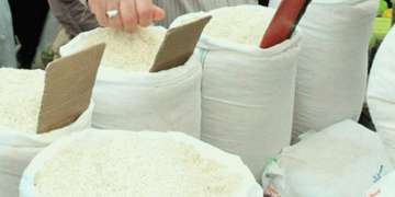 افزایش قیمت برنج در بازار مازندران
